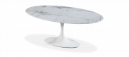 Tulip Oval Coffee Table - Marble