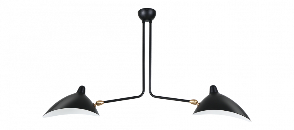 MCL R2 - 2 Arm Pendant Lamp