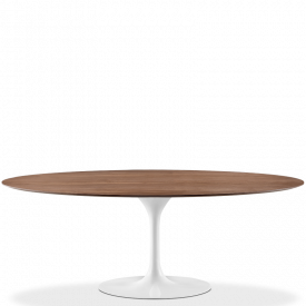 Tulip Style Oval Dining Table